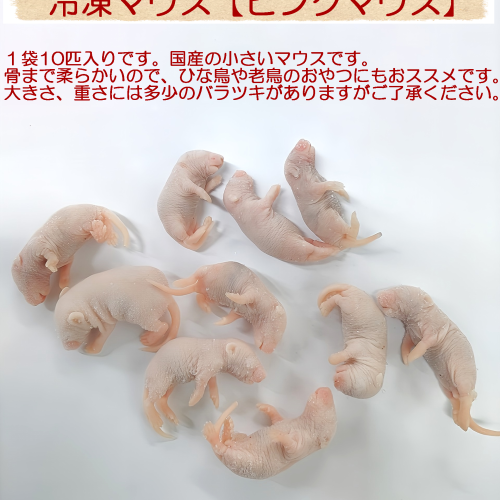 冷凍マウス 国産冷凍ピンクマウスM(10匹入)の販売情報イメージ2